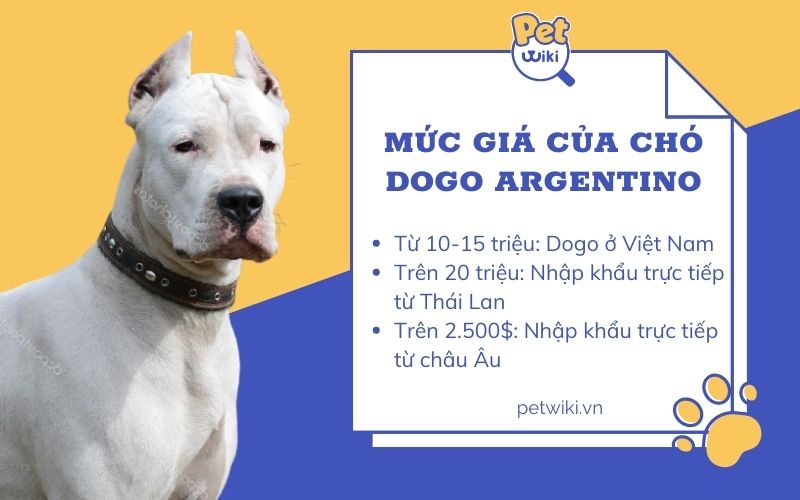 Mức giá của chó Dogo Argentino